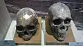 Calavera de pobladores del valle del Indo