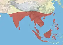 Distribución aproximada del rascón rufigrís