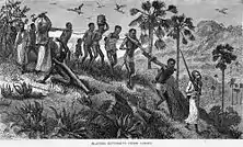 Arab slave traders and their captives near the Ruvuma (Rovuma) river in today's Tanzania and Mozambique, then under Portuguese rule (1866).