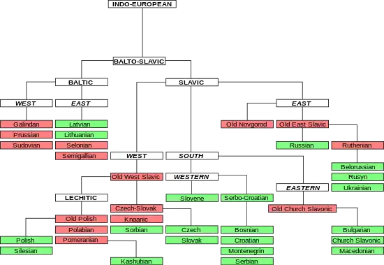 Language-tree graph