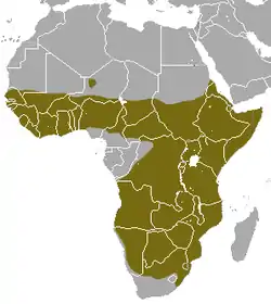 Distribución de la mangosta rufa