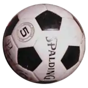 Balón de fútbol Spalding