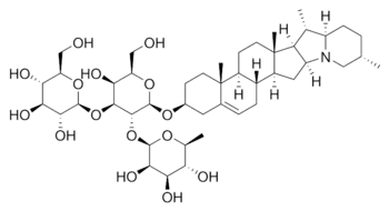 Imagen de la estructura