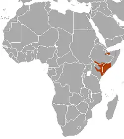 Distribución del gálago somalí