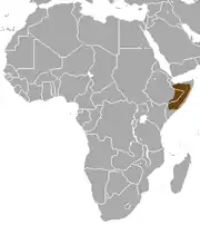 Distribución de la mangosta esbelta de Somalia