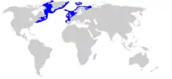 Distribución del tiburón de Groenlandia