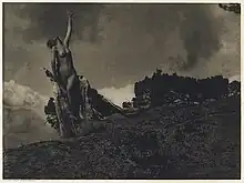 Anne Brigman: "Soul of the Blasted Pine" (1908)