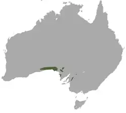 Distribución de L. latifrons