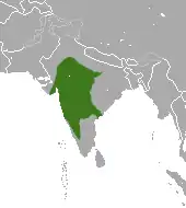 Distribución del langur gris de las planicies del Sur