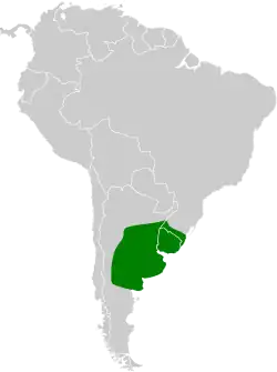 Distribución geográfica del canastero enano.