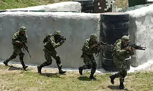 Fuerzas Especiales del Ejército Nacional.