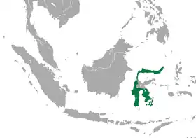 Distribución del tarsio fantasma