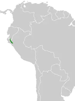 Distribución geográfica del hemispingo de Piura.