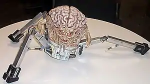 Fotografía de un modelo de cerebro montado sobre una base robótica de tres patas con mecanismos de accionamiento y cables expuestos. El cerebro tiene una cara con boca y ojos rojos, y un pequeño brazo con manos que emergen de cada lado.