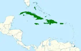 Distribución geográfica de la familia Spindalidae.