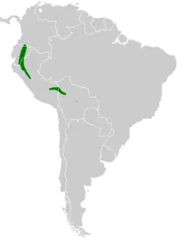 Distribución geográfica del semillero piquinegro.