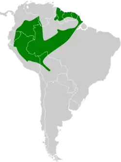 Distribución geográfica del semillero ventricastaño.