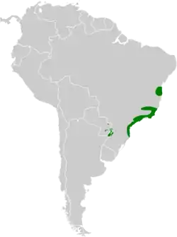 Distribución geográfica del semillero picudo.