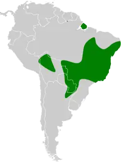 Distribución geográfica del semillero ventriblanco.