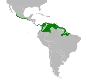 Distribución geográfica del semillero pechirrufo.