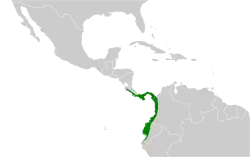 Distribución geográfica del semillero pechinegro.