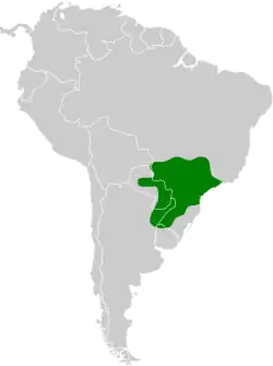 Distribución geográfica del semillero capirotado.