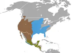 Distribución de Spilogale.