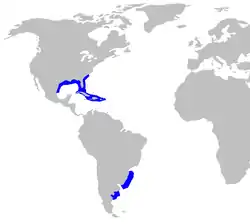 Rango de distribución del galludo cubano.