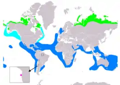 Distribución de Stercorarius pomarinus