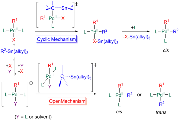 Los dos mecanismos, cyclic y abiertos, de transmetallation en el Stille reacción