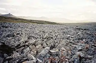 Campo de bloques del monte Kent, este de las islas Malvinas.