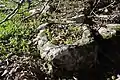 Stone trough near lower Adullam site