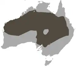 Distribución de S. macroura