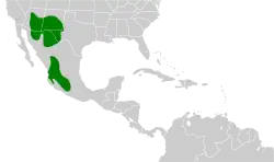 Distribución geográfica del pradero de Lilian.