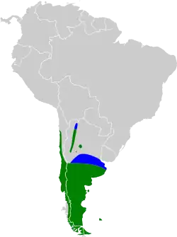 En verde donde se encuentra todo el año y el azul zonas de invernada