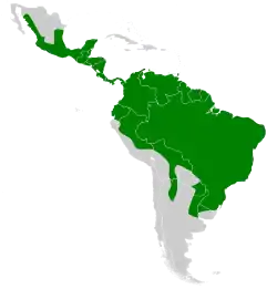 Distribución de S. lilium