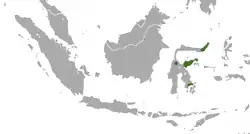 Distribución de la civeta de las palmeras de Célebes.