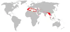 Mapa de distribución de S. etruscus.