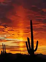 Puesta de sol con un pilar solar prominente cerca de Tucson, Arizona.