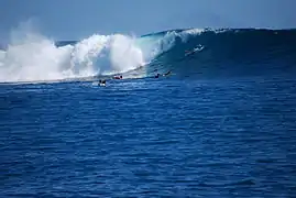 Surf en las islas