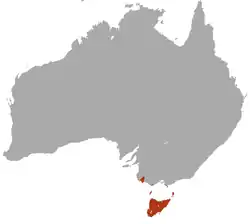 Mapa de distribución de Antechinus minimus