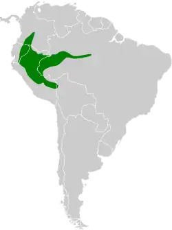 Distribución geográfica del pijuí pechioscuro.