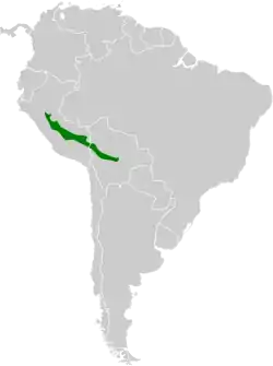 Distribución geográfica del pijuí de Cabanis.