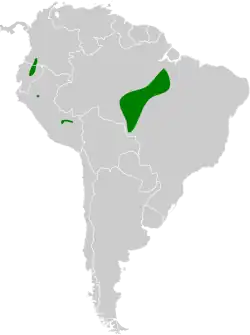 Distribución geográfica del pijuí gorgicastaño.