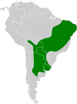 Distribución geográfica del pijuí frentigrís.