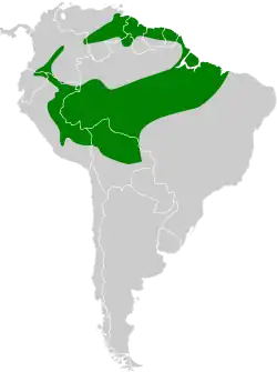 Distribución geográfica del pijuí coronipardo.