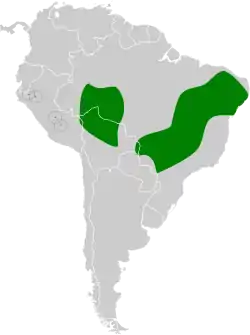 Distribución geográfica del pijuí cenizo.