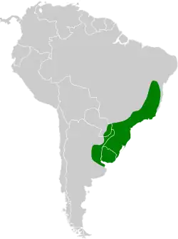 Distribución geográfica del pijuí plomizo.