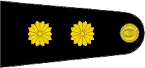 Insignia de teniente coronel del Ejército Argentino.