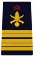 Coronel del Ejército de Tierra